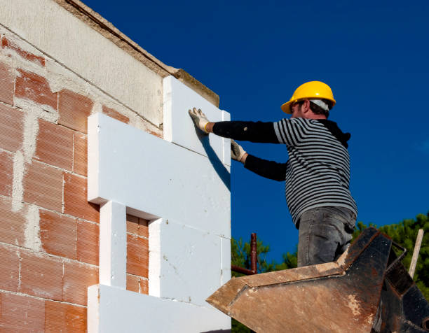 Best Insulation Maintenance and Repair in Memphis, FL