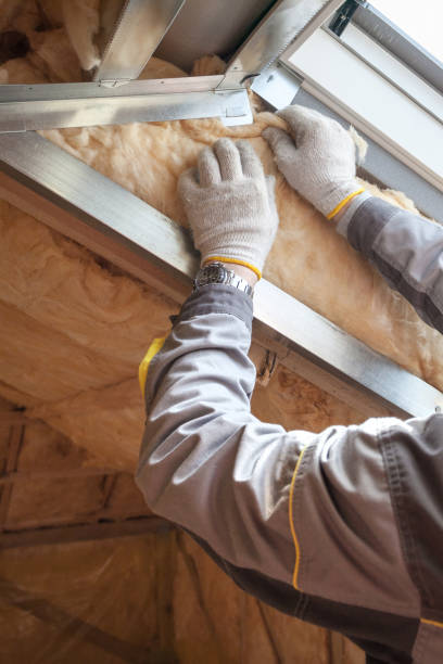 Best Geographic-Specific Insulation Services in Memphis, FL