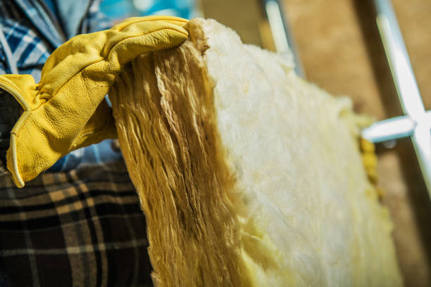 Types of Insulation We Offer in Memphis, FL